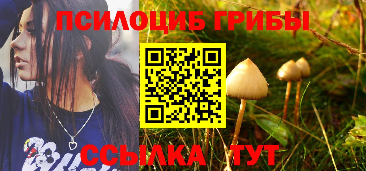 Галлюциногенные грибы MAGIC MUSHROOMS Гай
